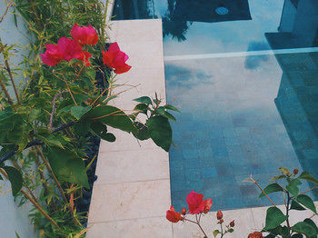 Villa Kamil